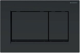 GEBERIT SIGMA30 змивна клавіша, подвійний змив: чорний матовий, легко чиститься покриття, чорний 115.883.16.1 115.883.16.1 фото
