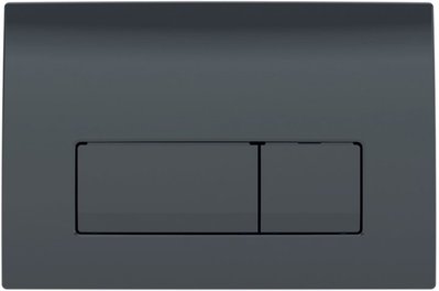 Змивна клавіша GEBERIT DELTA50 пластик, чорний RAL 9005 115.119.DW.1 115.119.DW.1 фото